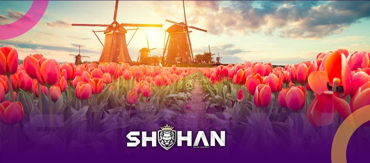 تحصیل در هلند 2024 + ویزای تحصیلی هلند - شرایط ثبت نام و هزینه آن