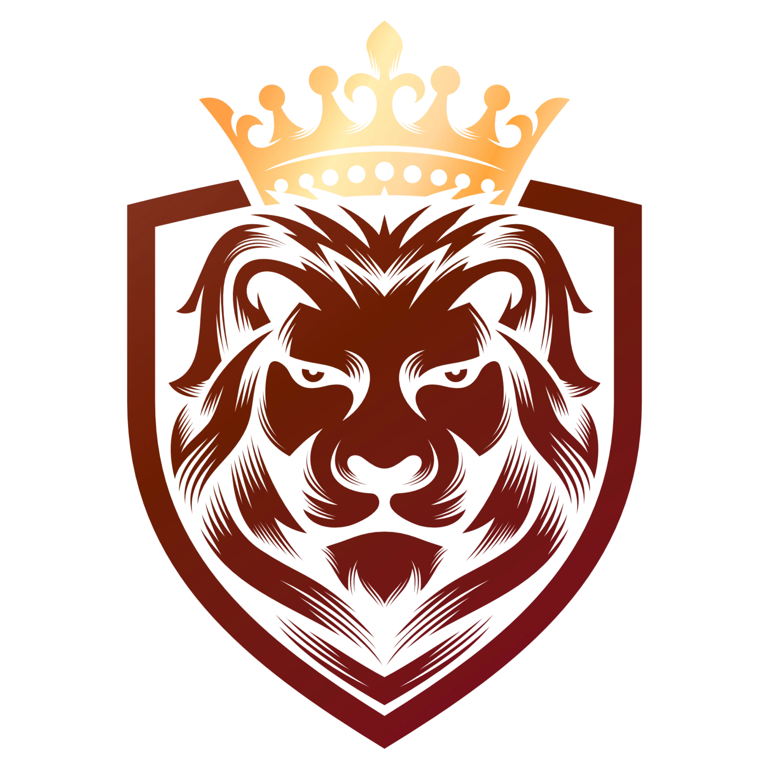 لوگوی شرکت شاهان